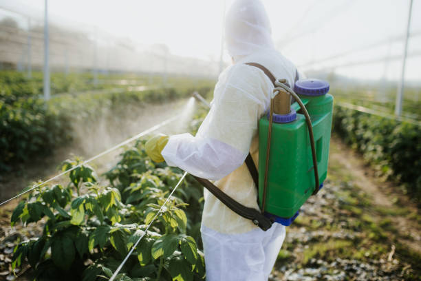 Seasonal Pest Control in White Hall, IL